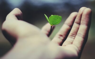 Mental Power Mentoring (MPM)